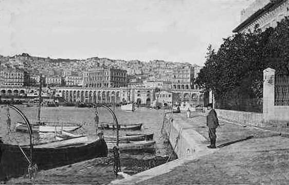 Alger la darse 