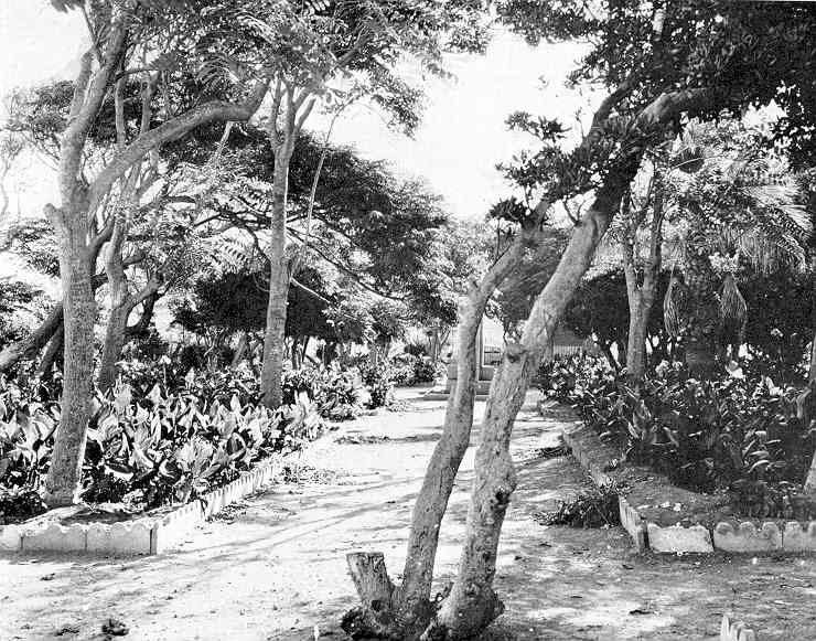 Le jardin public  